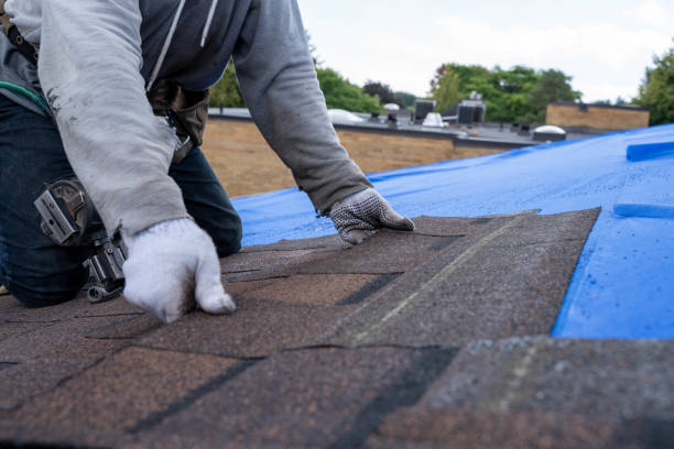 Roof Waterproofing Services in Heron Bay, GA